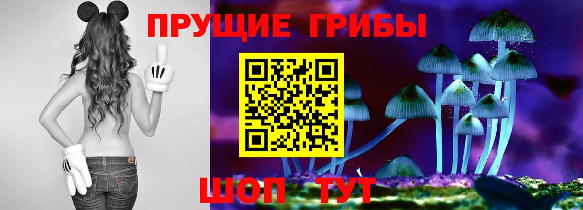 Галлюциногенные грибы Psilocybine cubensis Балашов