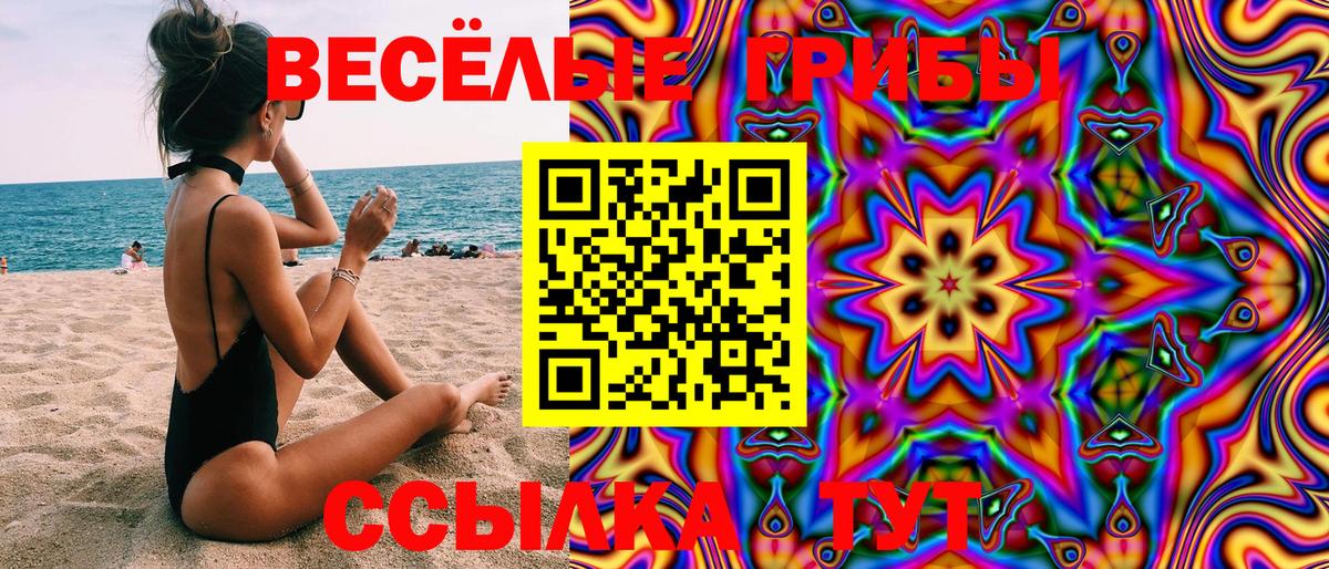 Галлюциногенные грибы Psilocybine cubensis  магазин    Балашов  Вход с VPN 